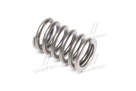 Пружина GM 96353128