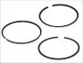 Кольца поршневые FORD TRANSIT 89.9 (2.5/2/3) 2.4TDI D24H/N/P 99- (пр-во) GOETZE 08-113500-00 (фото 1)