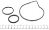 Помпа води Citroen C4/C5/C8/Jumpy/Fiat Scudo/Peugeot 206/307/406 1.8/2.0/2.2 99- (20z) (R/B) (6 ло UA63 GRAF PA1044 (фото 2)