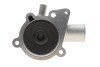 Помпа води Ford Transit III/IV/V 1.6/2.0 77-94/Sierra I/II 1.6 82-93 (B/B) (7 лоп.) UA63 GRAF PA117 (фото 3)