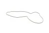 Помпа води Audi A4/A5/A6/A7/Q5/Q7/VW Amarok 3.0TDI 14-(R/B) (6 лоп) UA63 GRAF PA1353 (фото 5)