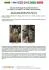 Помпа води Audi/Seat/Skoda/VW Crafter/Caddy/T6/Passat/Golf 1.6/2.0TDI 13- (R/B 4PT)(7 лоп)(з да UA63 GRAF PA1360A-8 (фото 2)