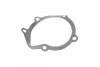 Помпа води Fiat Scudo/Ducato/Peugeot Boxer/406 1.9D/TD/2.0 94- (20z) (B/B) (7 лоп.)(зовн.d імп=69mm UA63 GRAF PA391 (фото 8)