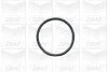 Помпа води BMW 3/5/7 318tds/325td/tds/525td/tds/725tds 91-04/Opel Omega B 2.5D/TD 94- (R/B) (7 лоп UA63 GRAF PA502A (фото 2)