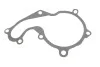 Помпа води Ford C-Max I/Focus I/II/Mondeo/Transit/Tourneo Connect 1.8DI/TDCi/TDDi 99- (R/B) (6 лоп. UA63 GRAF PA742 (фото 2)