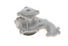 Помпа води Ford C-Max I/Focus I/II/Mondeo/Transit/Tourneo Connect 1.8DI/TDCi/TDDi 99- (R/B) (6 лоп. UA63 GRAF PA742 (фото 4)