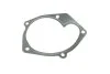 Помпа води Renault Kangoo/Megane/Scenic/Clio/Nissan Almera/Kubistar/Micra 1.5dCi 01- (B/B) (10 лоп) UA63 GRAF PA821 (фото 7)