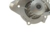 Помпа води Citroen C4-C8/Jumpy 2.0-2.2HDi/Fiat Scudo 2.0D/Ford Focus 2.0TDCI 01- (19z)(B/B)(8лоп) UA63 GRAF PA861 (фото 5)