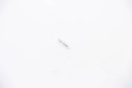 Лампа розжарювання W1,2W 12V 1,2W W2x4,6d HELLA 8GP002095121