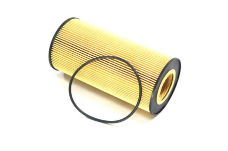 Фильтр масляный (вставка) DAF CF95,XF105 (Hengst) HENGST FILTER E89H D734