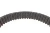 Комплект ГРМ Audi A4/A6/A8 3.0 00-06 (30x281z) (opt-om) HEPU 20-1633 (фото 5)