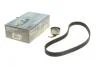 Комплект ГРМ Honda Accord V/VI 96-03 (24x112z) (opt-om) HEPU 20-1698 (фото 1)