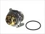 Помпа води VW Caddy 1.6E/T5 2.0E UA63 HEPU P545 (фото 1)