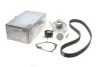 Комплект ГРМ + помпа Renault Kangoo 1.5dCi 01- (z=123) UA63 HEPU PK09580