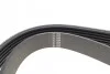 Ремінь генератора Ford Fiesta VI 1.25 08- (6PK1024) (opt-om) HUTCHINSON 1024 SK 6 (фото 3)