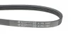 Ремінь генератора Hyundai H-1 2.5 TD/CRDi 97-07 (opt-om) HUTCHINSON 1057 K 4 (фото 4)
