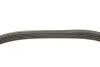Ремінь генератора Citroen Jumper 2.8HDI 00-/Fiat Ducato 2.5D/TD (5PK1100) UA63 HUTCHINSON 1100 K 5 (фото 2)