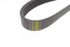 Ремінь генератора (поліклиновий) HUTCHINSON 1105 K 6 (фото 4)