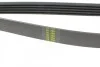 Ремінь генератора Mitsubishi Sigma 3.0 V6 90-96 (opt-om) HUTCHINSON 1237 K 5 (фото 3)