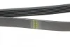 Ремінь генератора Renault Laguna 2.0 95-01 (6PK1240) UA63 HUTCHINSON 1237 K 6 (фото 3)