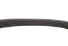 Ремінь генератора Fiat Scudo/Opel Combo 1.7D/DTI/2.0D 01- (6PK1247) UA63 HUTCHINSON 1247 K 6 (фото 3)