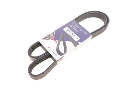 Ремінь генератора Fiat Scudo/Opel Combo 1.7D/DTI/2.0D 01- (6PK1247) UA63 HUTCHINSON 1247 K 6