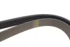 Ремінь генератора Citroen Berlingo/Fiat Scudo/Peugeot Partner 1.9D 98- (6PK1387) UA63 HUTCHINSON 1387 K 6 (фото 3)