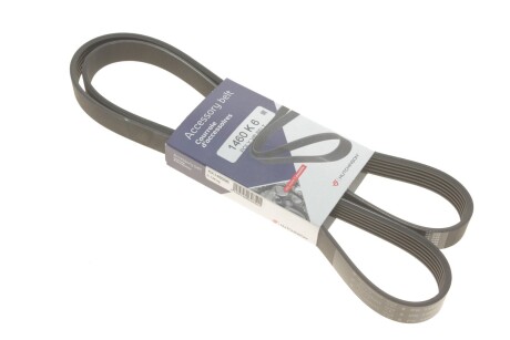 Ремінь генератора Ford Connect 1.8D/TDCi 02-/Opel Combo 1.2/1.4i -01 (6PK1460) (opt-om) HUTCHINSON 1460 K 6
