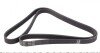 Ремінь генератора Hyundai i30/Suzuki Grand Vitara 2.0 96- 1644 K 5 UA63 HUTCHINSON 1644K5 (фото 2)