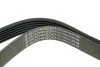 Ремінь генератора Fiat Scudo/Citroen Berlingo/VW Golf IV 1.8/1.9TDI 97- (6PK1658) UA63 HUTCHINSON 1658 K 6 (фото 3)