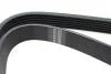 Ремінь генератора Fiat Scudo/Citroen Berlingo/VW Golf IV 1.8/1.9TDI 97- (6PK1660) UA63 HUTCHINSON 1660 K 6 (фото 2)