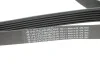 Ремінь генератора Citroen Berlingo 1.9D/ VW LT 2.8TDI 116KW (6PK1682) UA63 HUTCHINSON 1682 K 6 (фото 2)