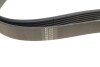 Ремінь поліклиновий 6PK1718 HUTCHINSON 1718K6 (фото 3)