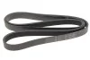 Ремінь генератора MB W202/210 M111/Ford Transit 2.301-06 (6PK1775) (opt-om) HUTCHINSON 1775 K 6 (фото 1)