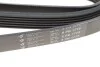 Ремінь генератора MB W202/210 M111/Ford Transit 2.301-06 (6PK1775) (opt-om) HUTCHINSON 1775 K 6 (фото 5)