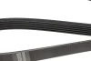 Ремінь генератора Fiat Doblo 1.9D/JTD 01-/Renault Laguna 1.6 01-07 (+AC) (6PK1815) UA63 HUTCHINSON 1815 K 6 (фото 2)