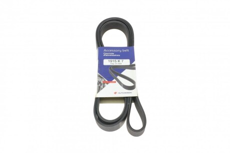 Ремінь генератора Renault Master/Opel Movano 3.0 DCI 03- (opt-om) HUTCHINSON 1915 K 7