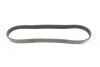 Ремінь генератора Citroen Berlingo/Fiat Ducato 1.8/1.9D /Citroen Jumper 3.0HDI 96- (6PK1160) UA63 HUTCHINSON 848 SK 6 (фото 5)