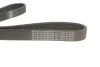Ремінь генератора Citroen Berlingo/VW Golf III 1.4-2.0i 91- (6PK975) UA63 HUTCHINSON 975 K 6 (фото 2)