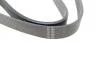Ремінь генератора VW Polo/Up 11-/Skoda Fabia 14-/Seat Ibiza 1.0/1.6 15- (6PK989) UA63 HUTCHINSON 989 SK 6 (фото 3)