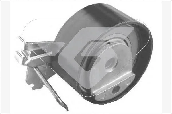 Натяжний ролик Citroen C3, C4/Peugeot 206, 307 1.4 16V (03-) Hutchinson HUTCHINSON HTG317 (фото 1)