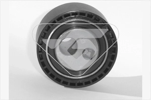 Натяжний ролик Peugeot 206, 807/Fiat Ducato 1.9D/ 2.2HDi (98-) Hutchinson HUTCHINSON HTG49 (фото 1)