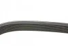 Комплект ременя генератора Nissan Qashqai/Renault Clio/Kangoo/Dacia Dokker/Duster/Logan 12- UA63 HUTCHINSON KHV 262 (фото 2)