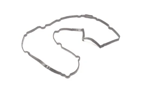 Прокладка клапанної кришки (22441-2F601) Mobis Hyundai/Kia/Mobis 224412F601