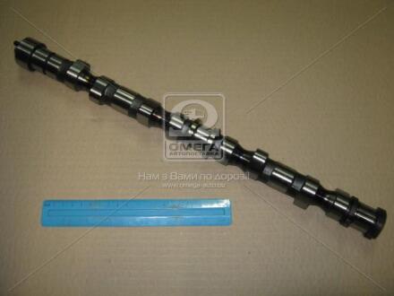 Вал розподільний Tucson (04-10) 2.0d (24100-27402) Mobis Hyundai/Kia/Mobis 2410027402