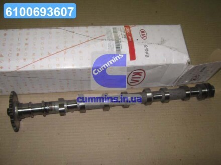 Розподільний вал впускний (Mobis) Hyundai/Kia/Mobis 241002A101