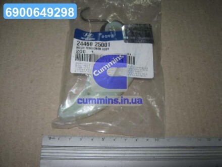 Заспокійник ланцюга масляного насоса (Mobis) Hyundai/Kia/Mobis 2446025001