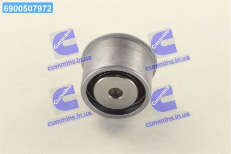 Ролик заспокоєння ременя ГРМ (Mobis) Hyundai/Kia/Mobis 2481039810