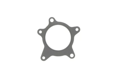Прокладка водяного насоса (вир-во Mobis) Hyundai/Kia/Mobis 251242B000