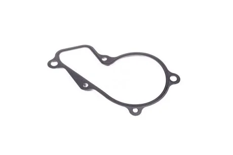 Прокладка водяного насосу Hyundai/Kia/Mobis 251242E000